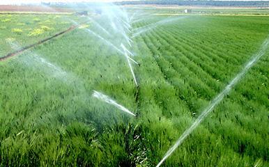 Bombas para uso agrícola