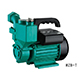 WZB Self-Priming Peripheral Pump